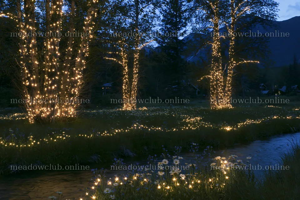 Christmas lights beside stream in meadow at dusk – meadow photos 9722x6480