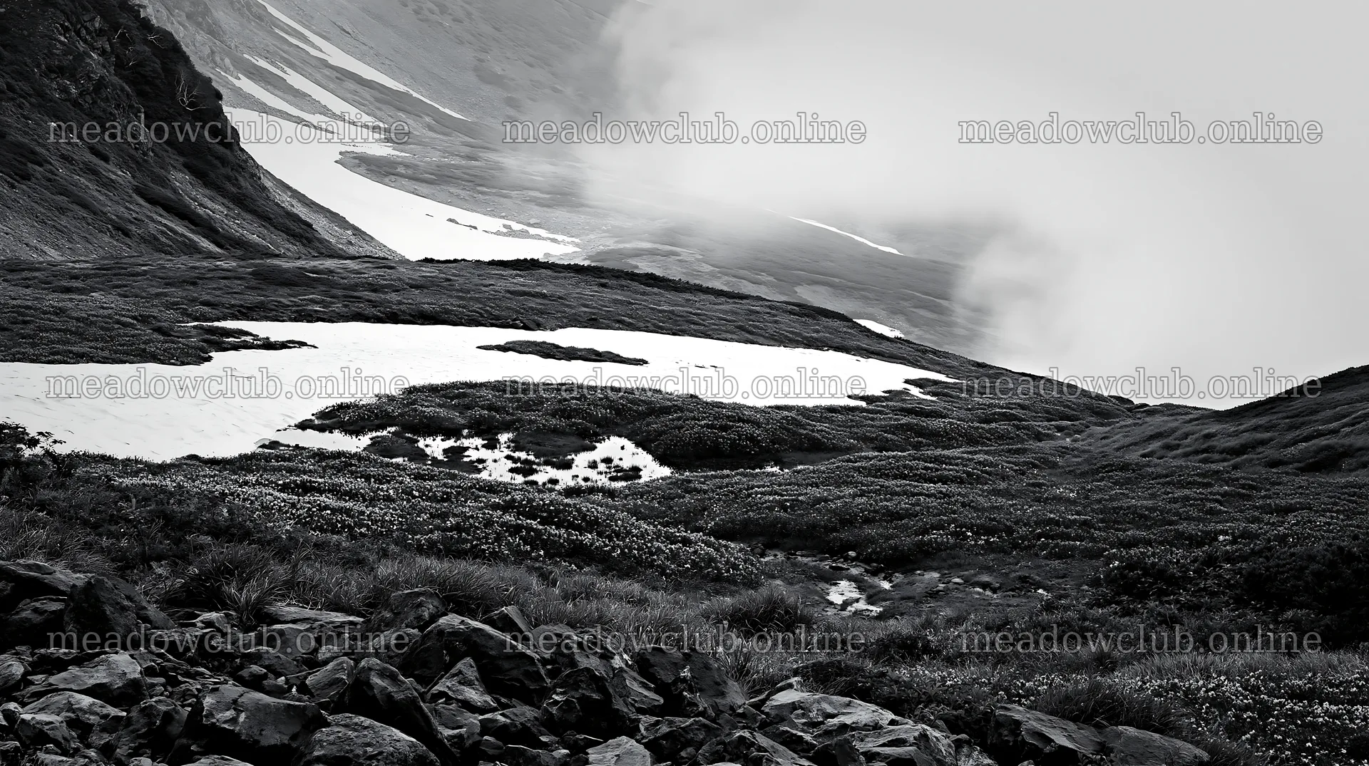 Snowmelt and rocky terrain in Toyama alpine meadow – meadow photos 10608x5938