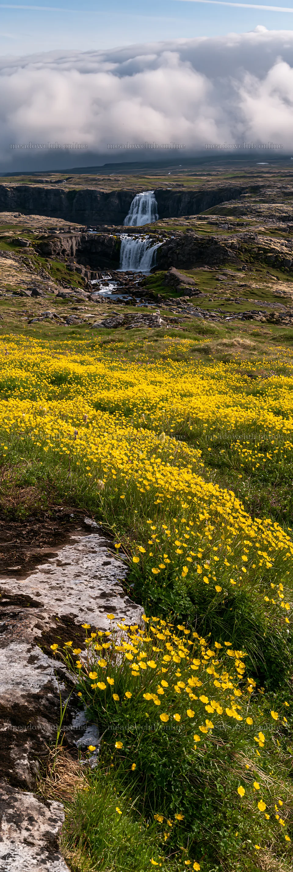 Meadow with yellow flowers and waterfall under the clouds – meadow photos 4602x13690