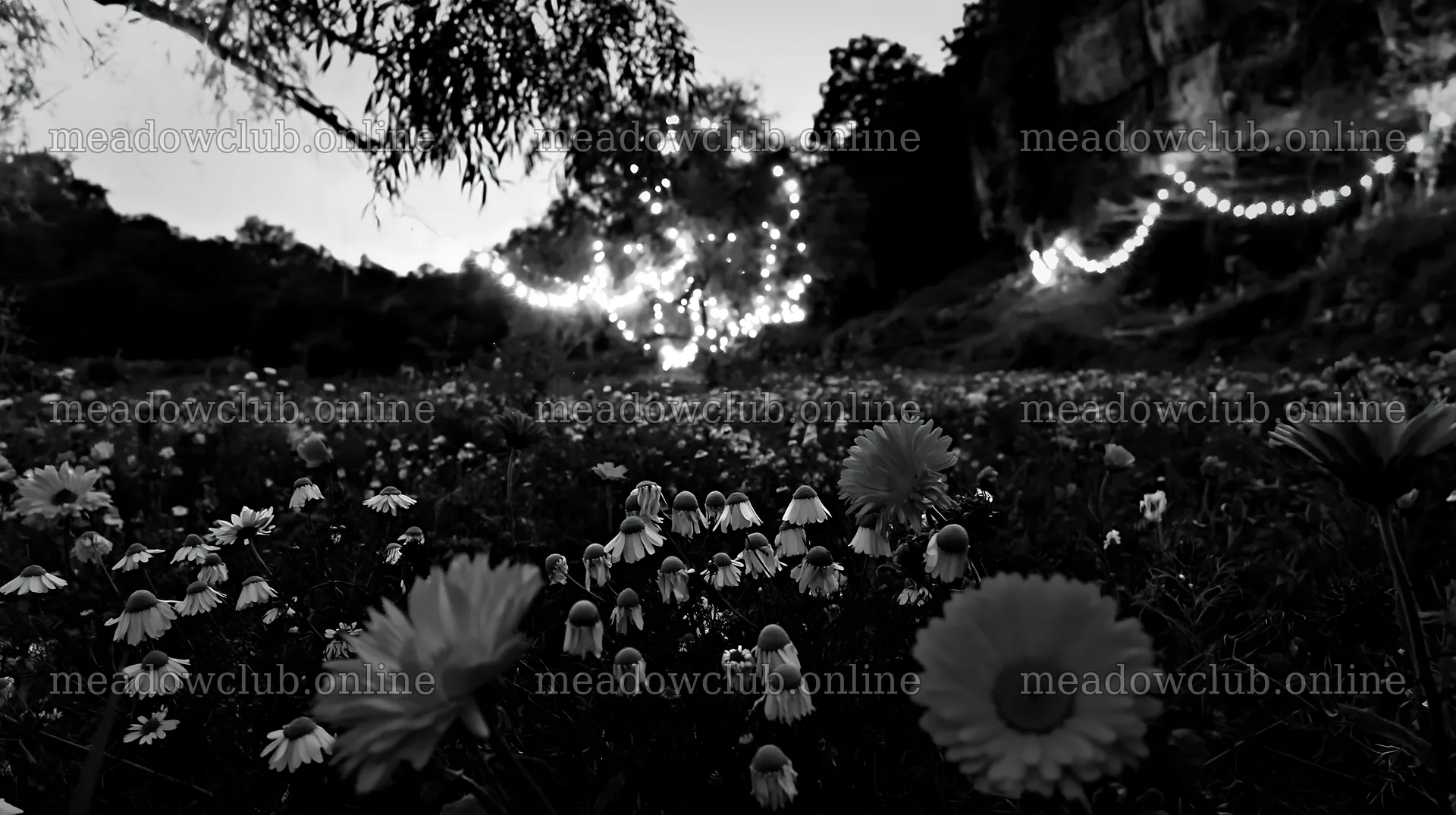 Christmas lights in meadow by cave at dusk – meadow photos 10608x5938