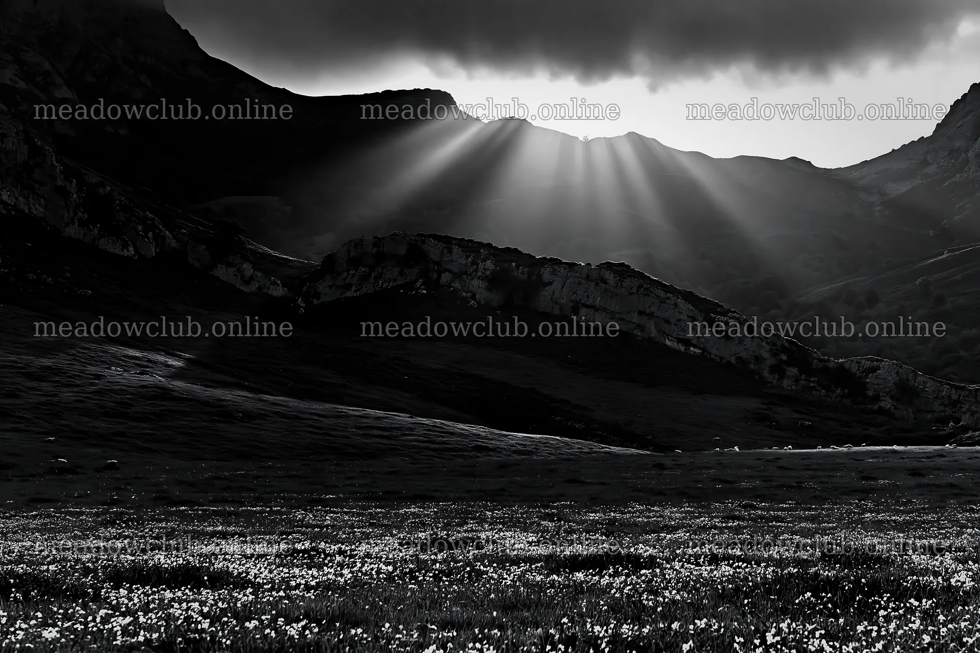 Sunrays illuminating Picos de Europa meadow landscape – meadow photos 9722x6480