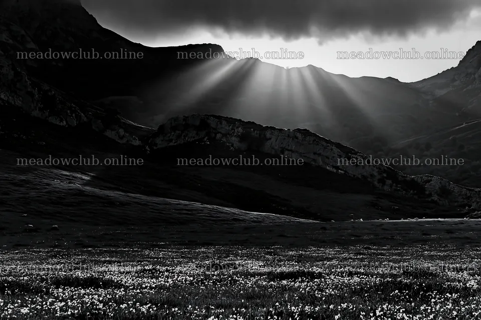 Sunrays illuminating Picos de Europa meadow landscape – meadow photos 9722x6480