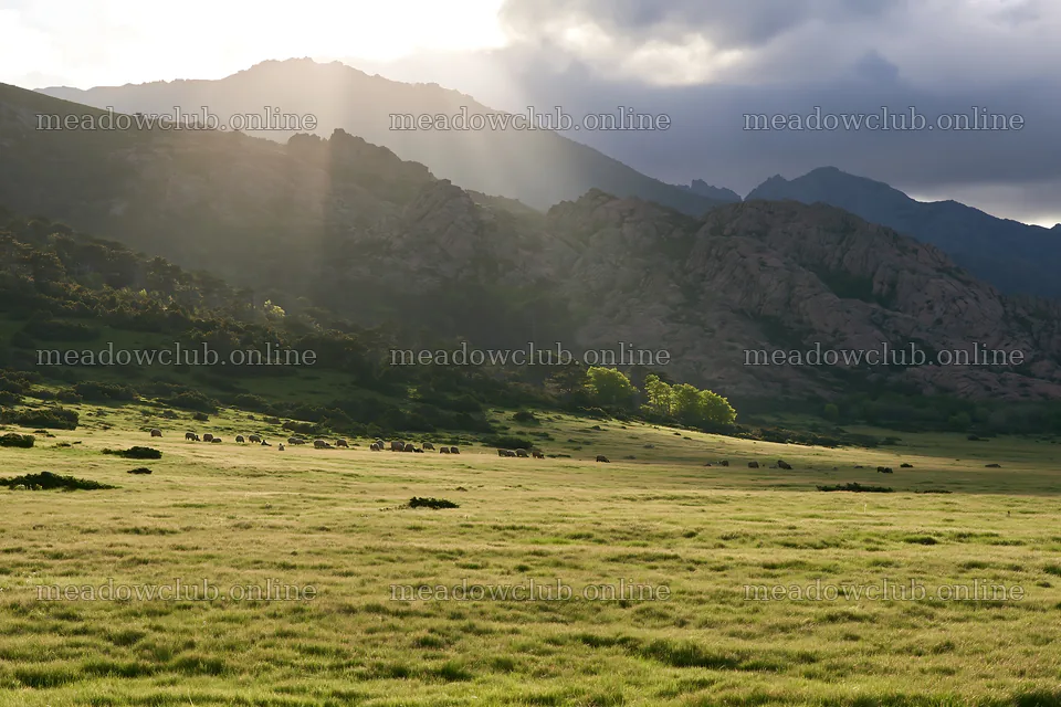 Sun rays shining over meadow and mountains during daytime – meadow photos 9722x6480