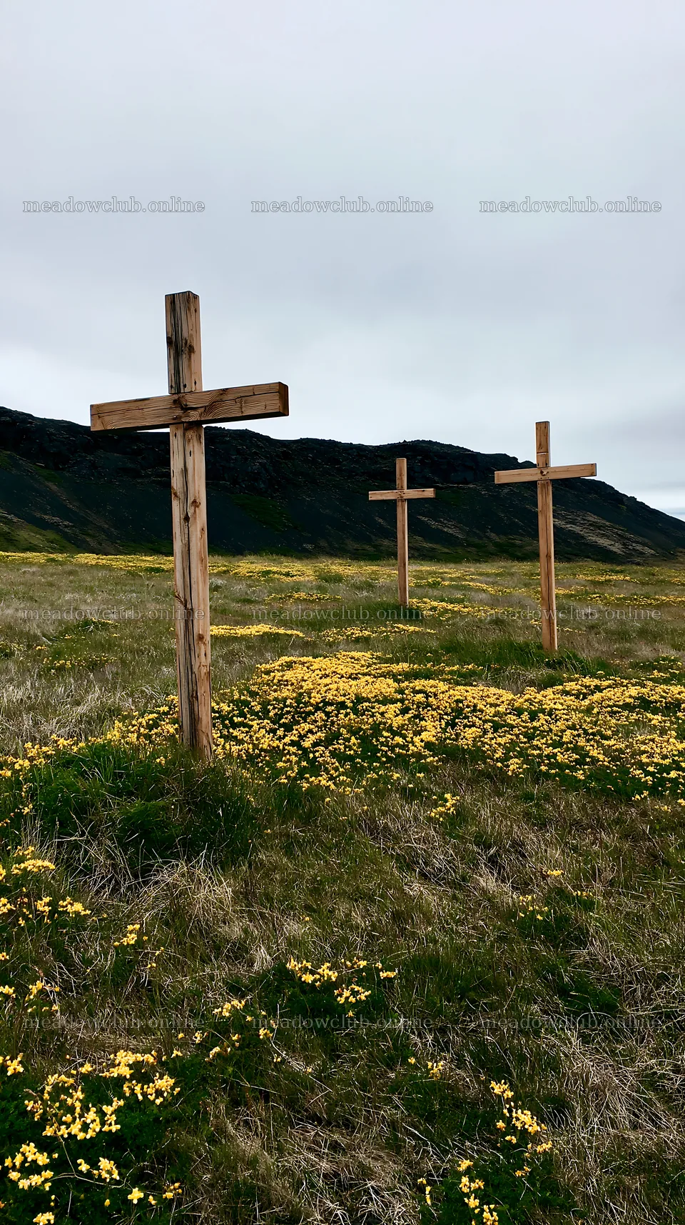 Christian crosses in a meadow filled with yellow flowers – meadow photos 5938x10608