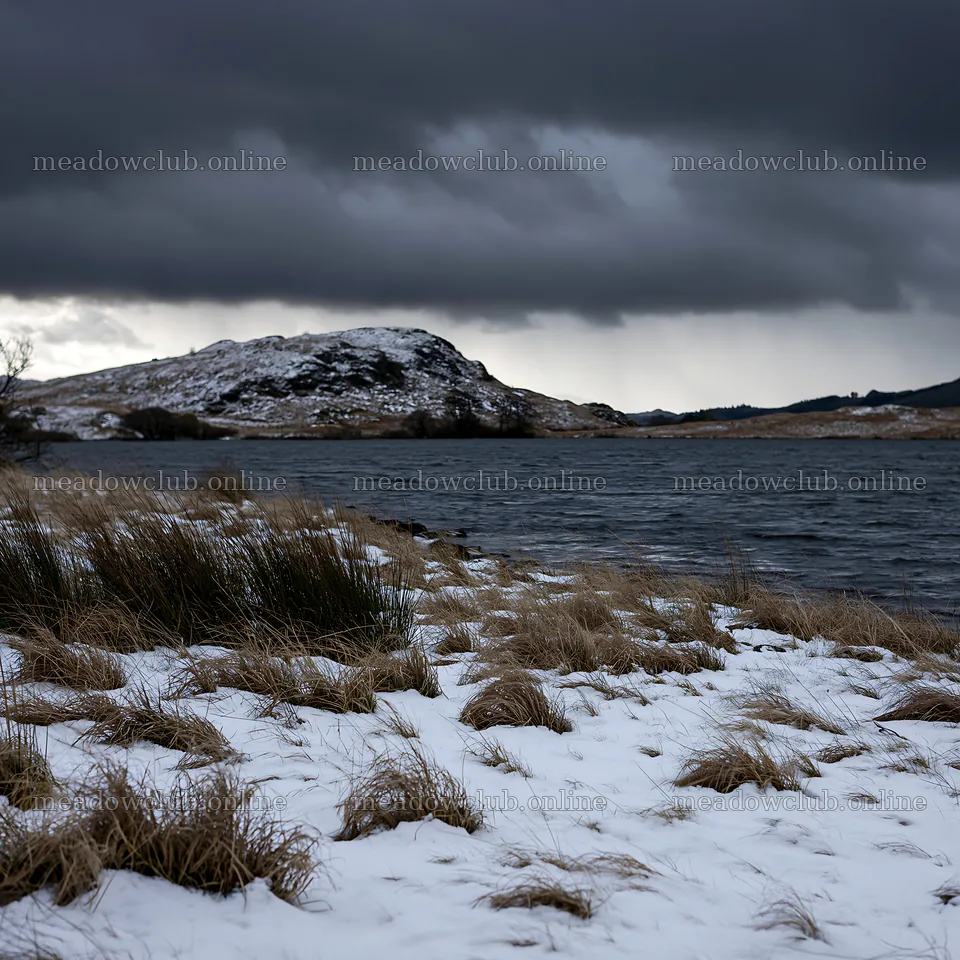 Snowy lakeside meadow with dark clouds in the background – meadow photos 7938x7938