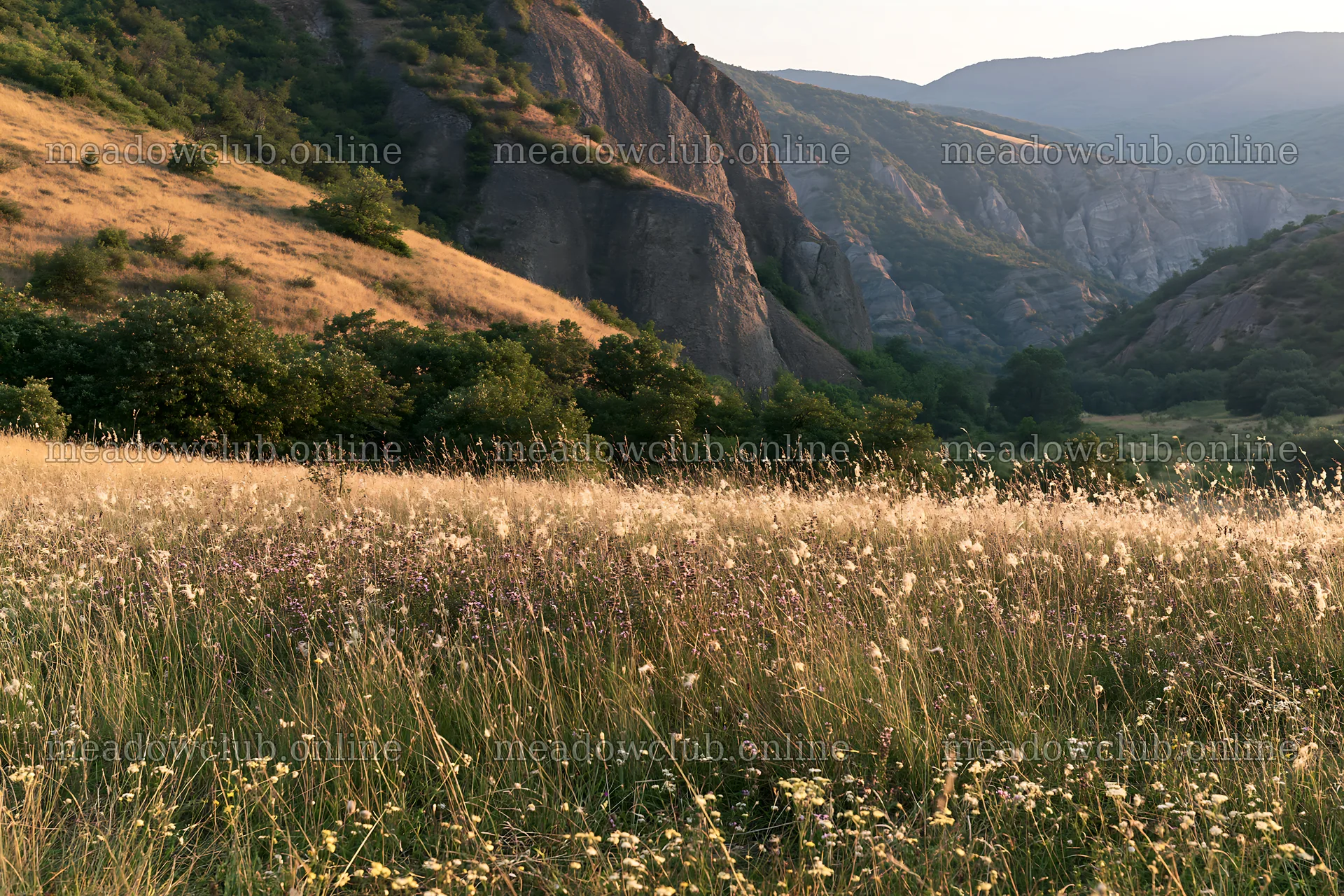 Meadow landscape with hills and grassy fields in summer – meadow photos 9722x6480