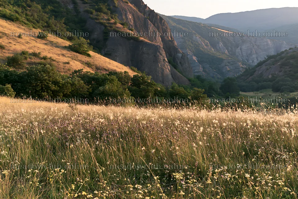 Meadow landscape with hills and grassy fields in summer – meadow photos 9722x6480