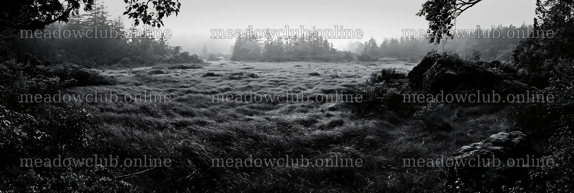 Miyagi spring recovery meadow mossy stone – meadow photos 13690x4602