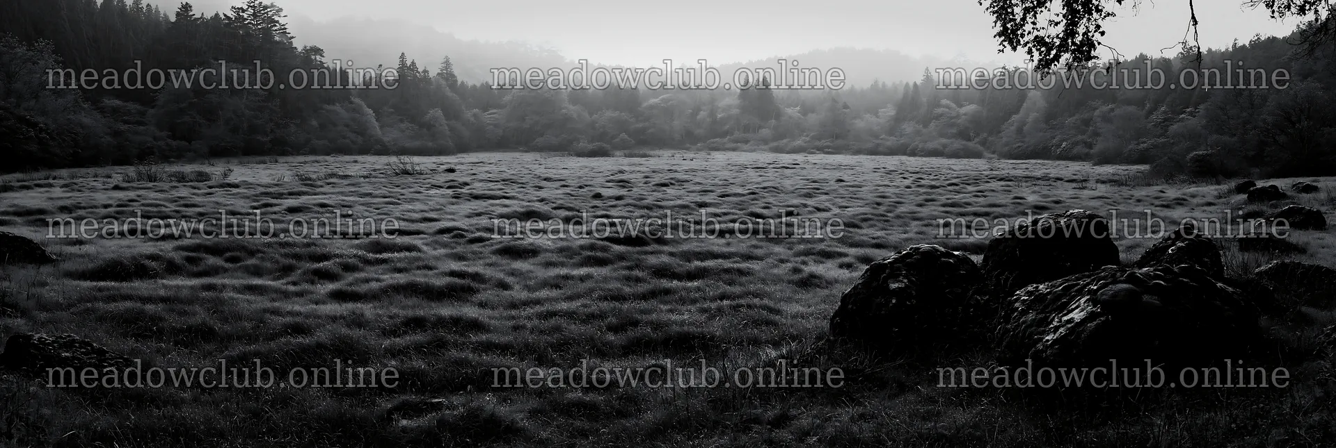 Miyagi spring recovery meadow mossy stone in lush green setting – meadow photos 13690x4602