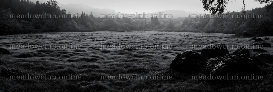 Miyagi spring recovery meadow mossy stone in lush green setting – meadow photos 13690x4602