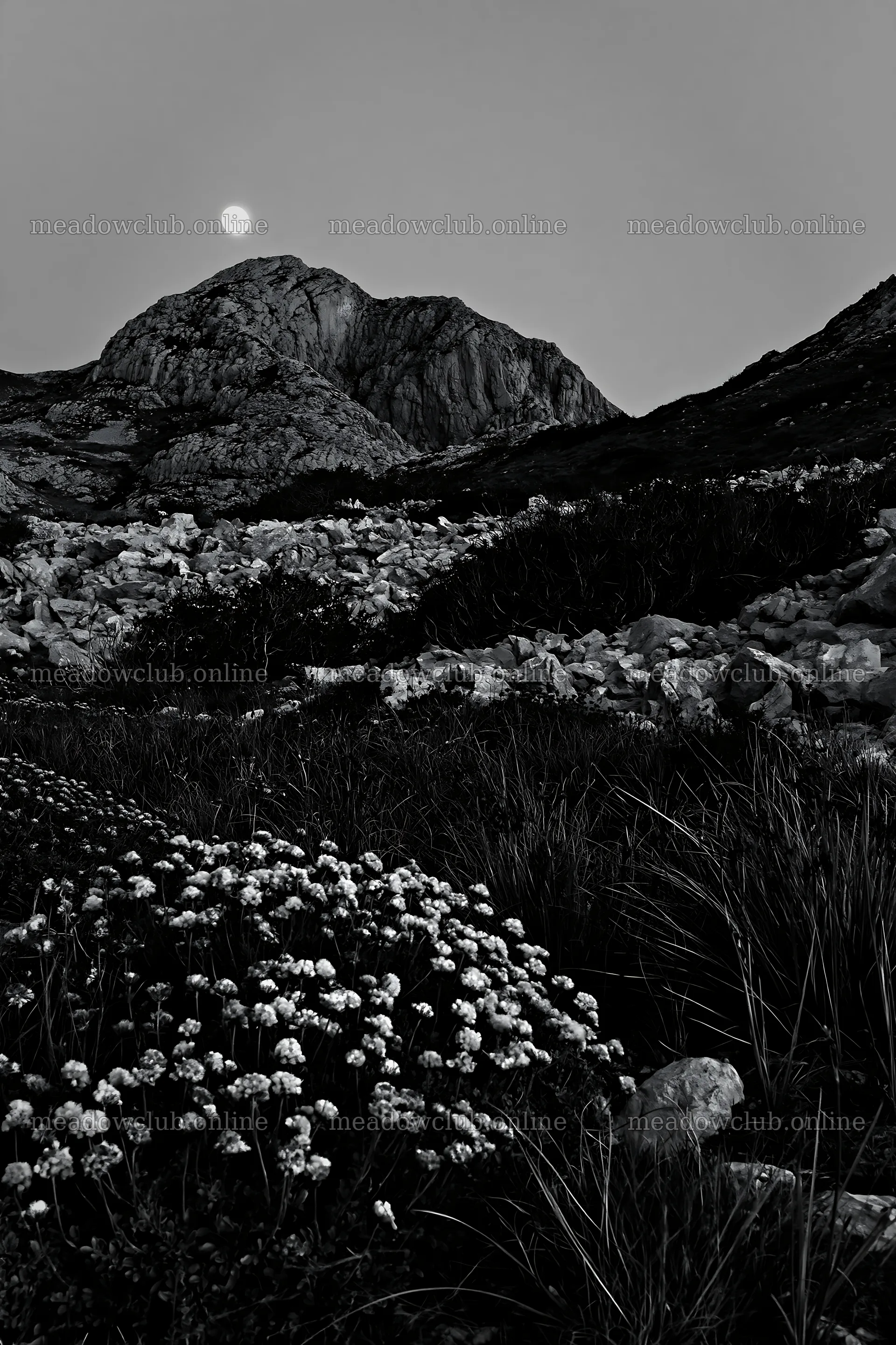 Moonrise over a meadow with flowers and mountains – meadow photos 6480x9722