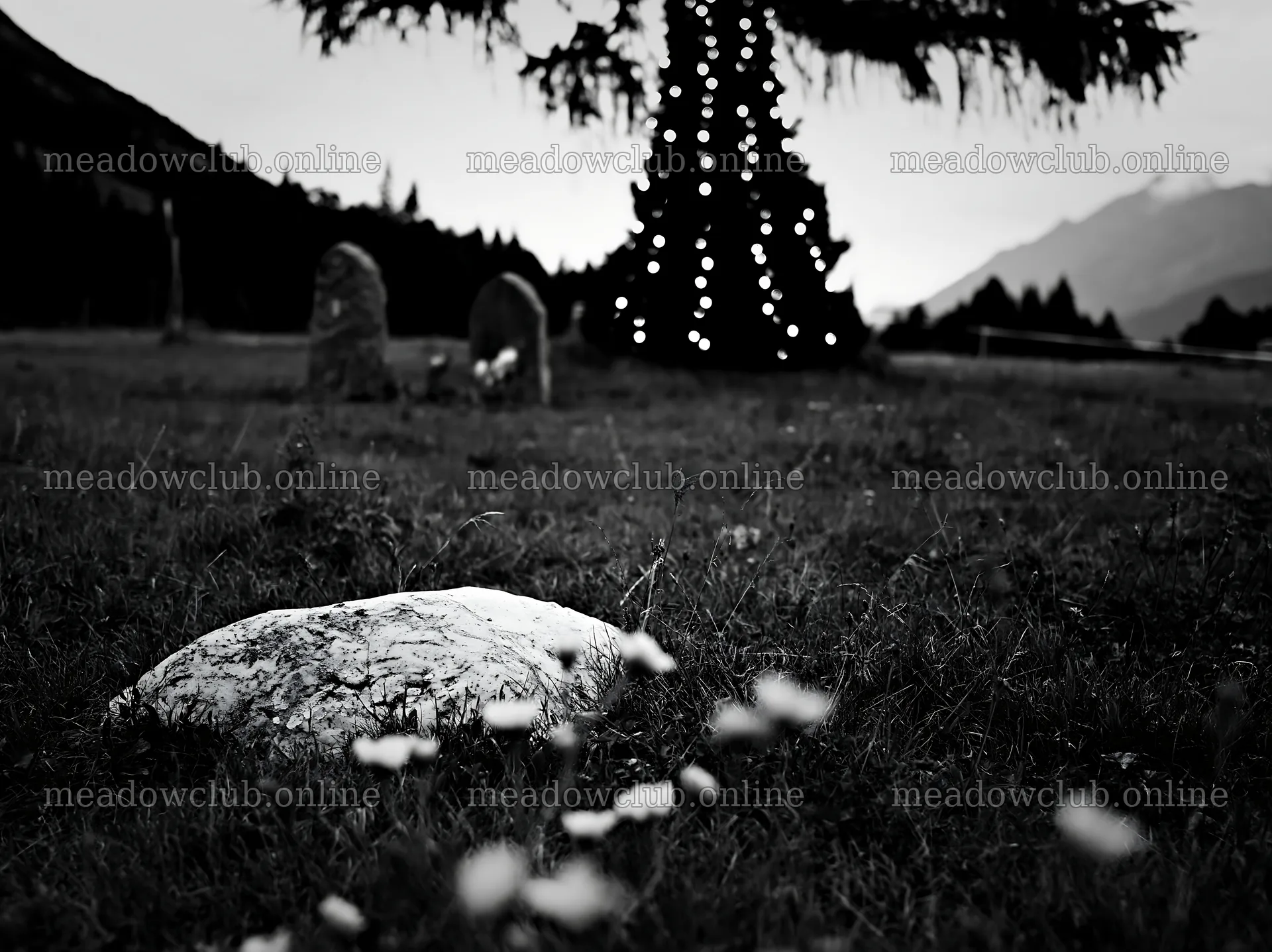 Christmas decorations beside tree in mountain valley meadow – meadow photos 9174x6866