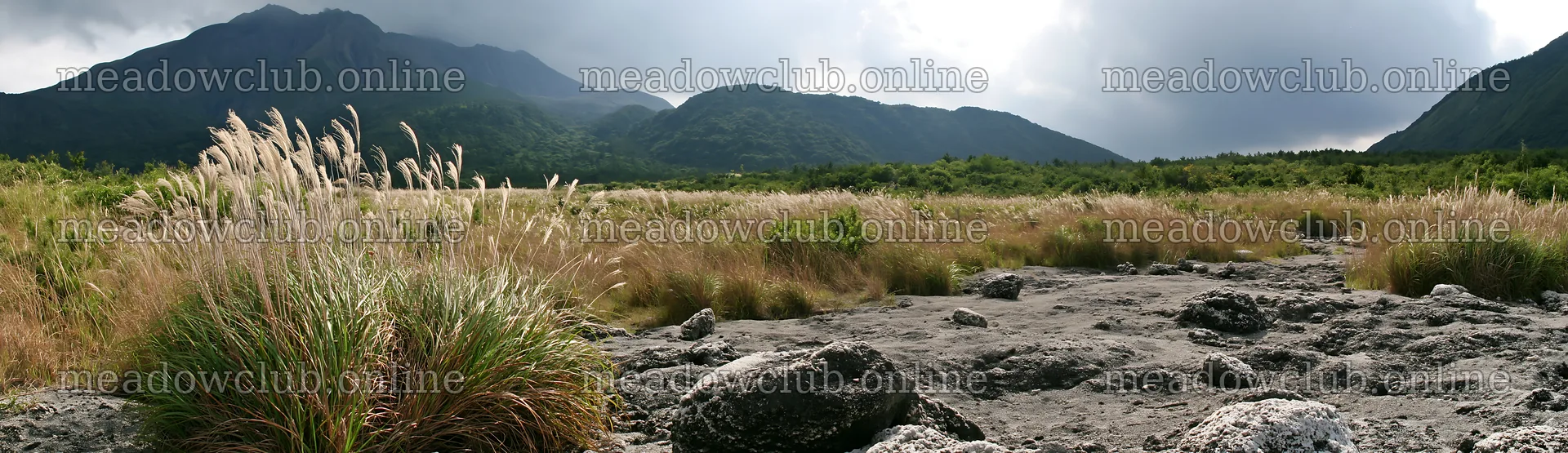 Kagoshima volcanic meadow with pumice and grass foreground – meadow photos 14762x4268