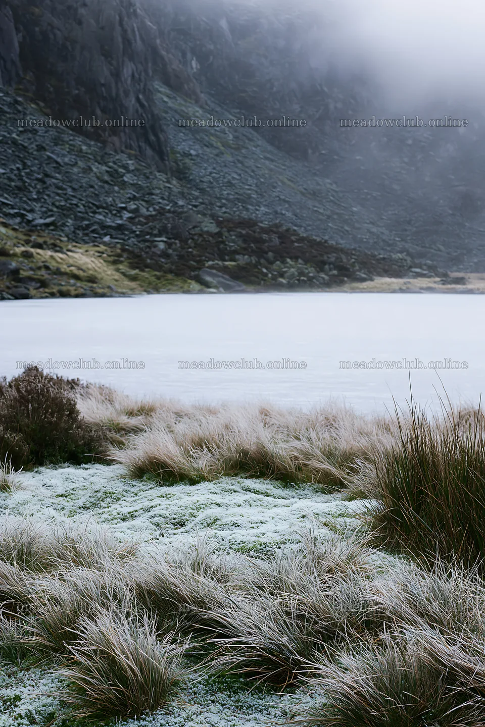 Frozen tarn meadow in winter with grass and frozen water – meadow photos 6480x9722
