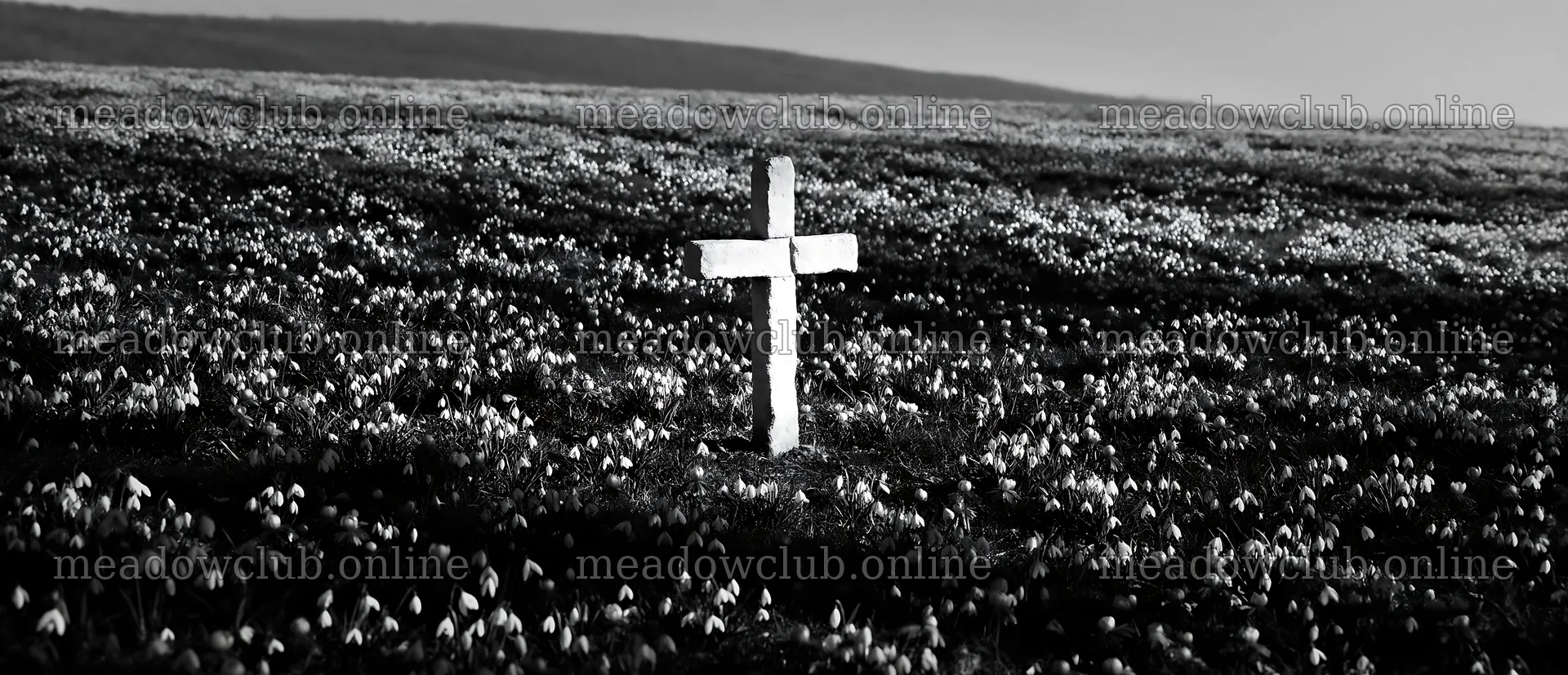 Christian cross in winter meadow with low sunlight – meadow photos 12094x5210