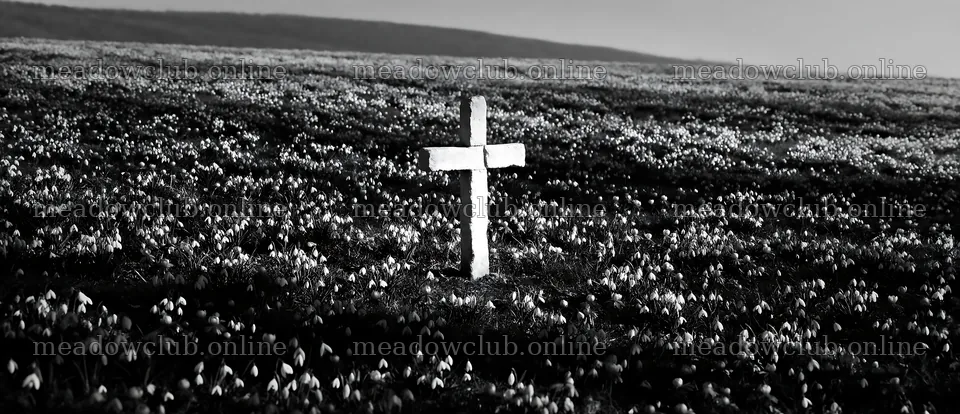 Christian cross in winter meadow with low sunlight – meadow photos 12094x5210
