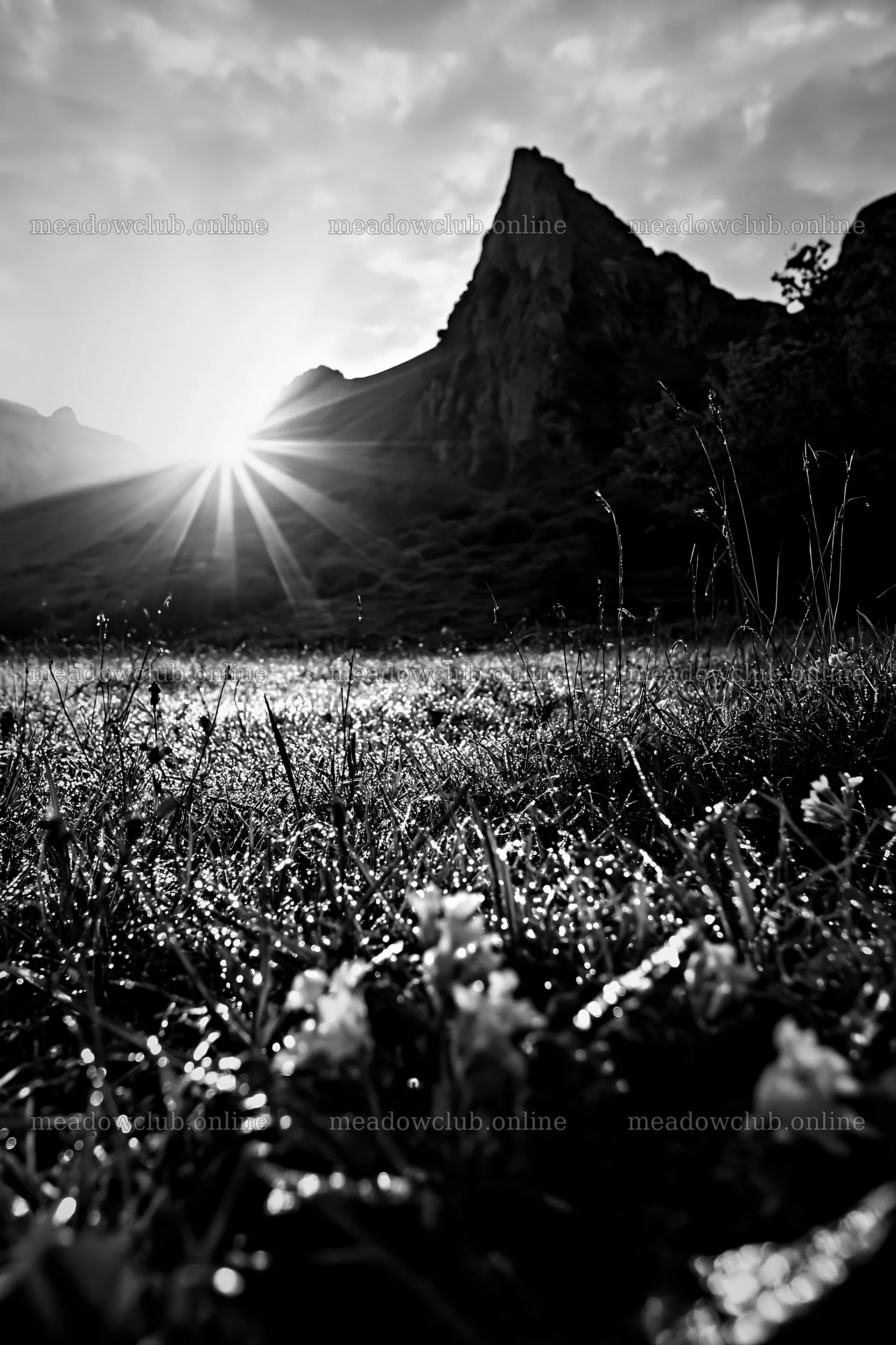 Sunrays shining over meadow in Picos de Europa mountains – meadow photos 6480x9722