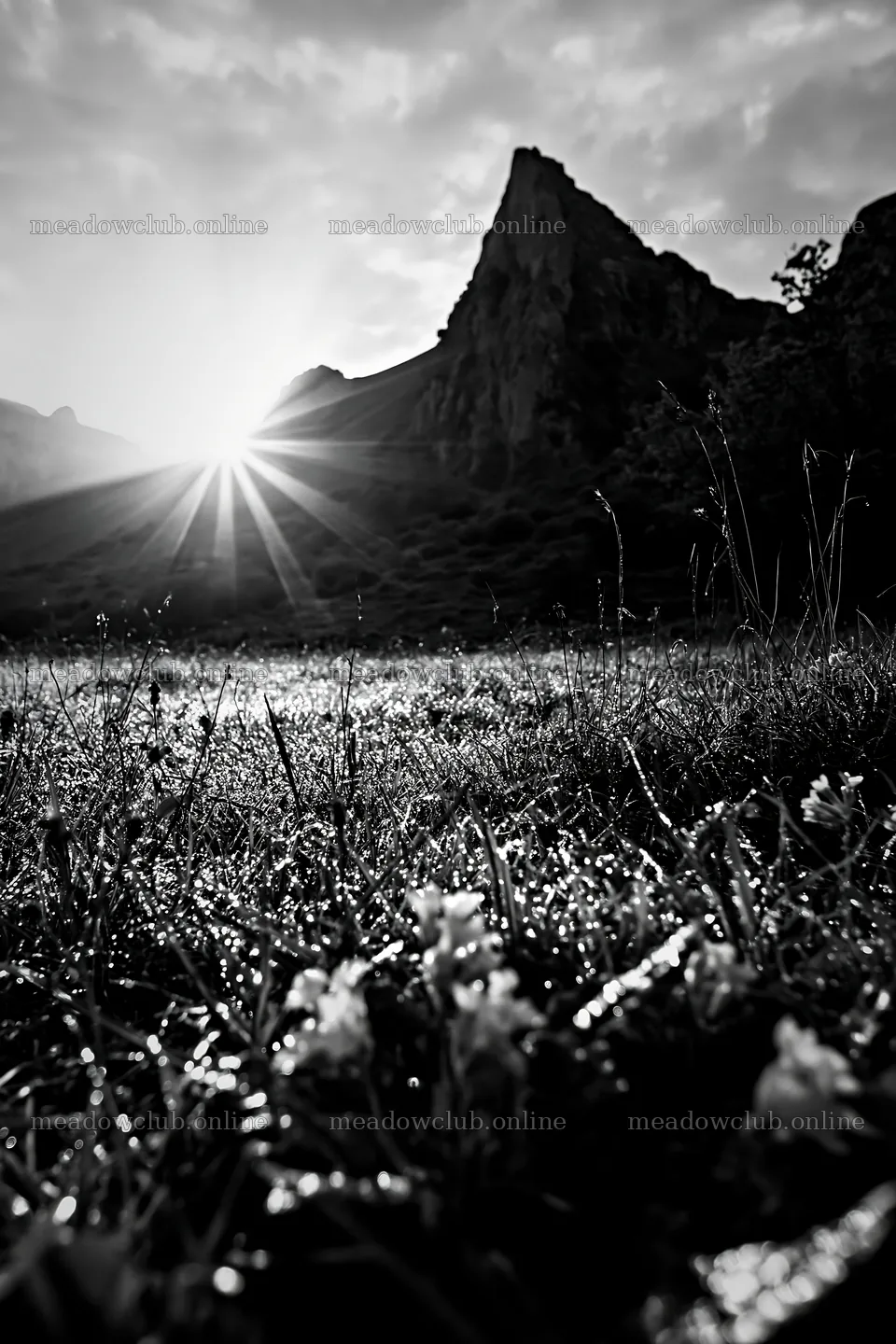 Sunrays shining over meadow in Picos de Europa mountains – meadow photos 6480x9722