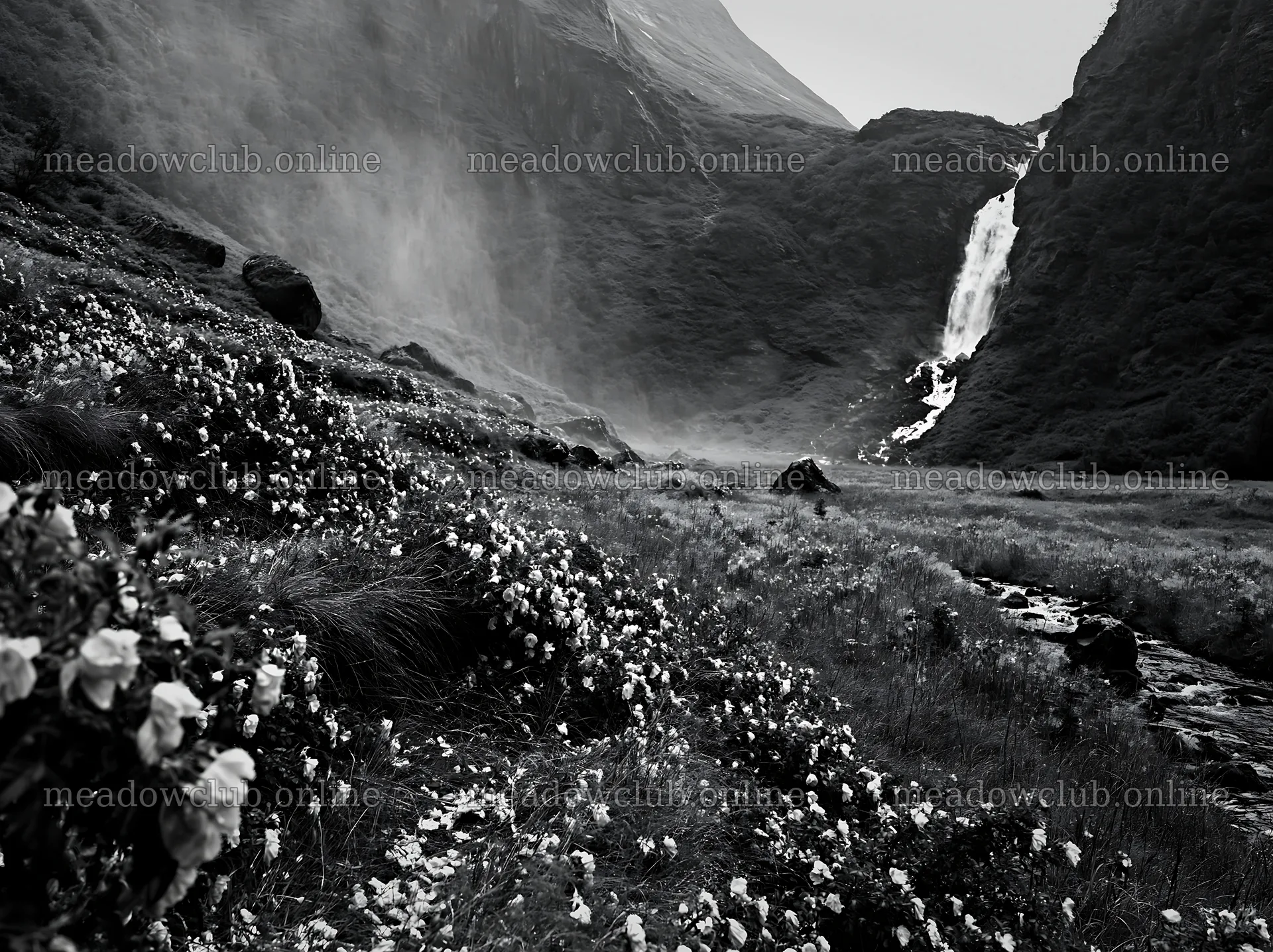 Rose meadow with waterfall spray in natural setting – meadow photos 9174x6866