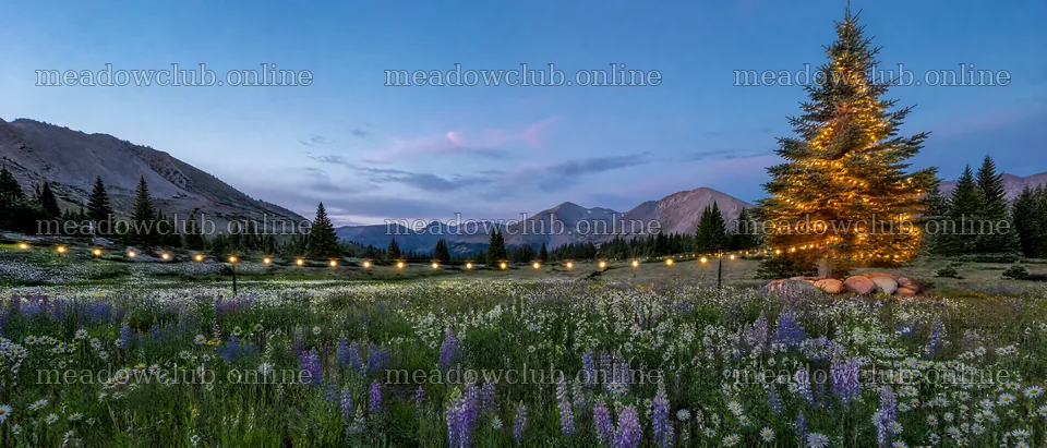 Decorated Christmas tree in mountain valley meadow at dusk – meadow photos 12124x5196