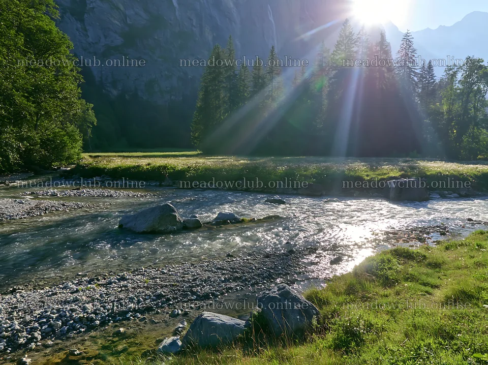 Lauterbrunnen Valley meadow with light rays shining through trees – meadow photos 9174x6866