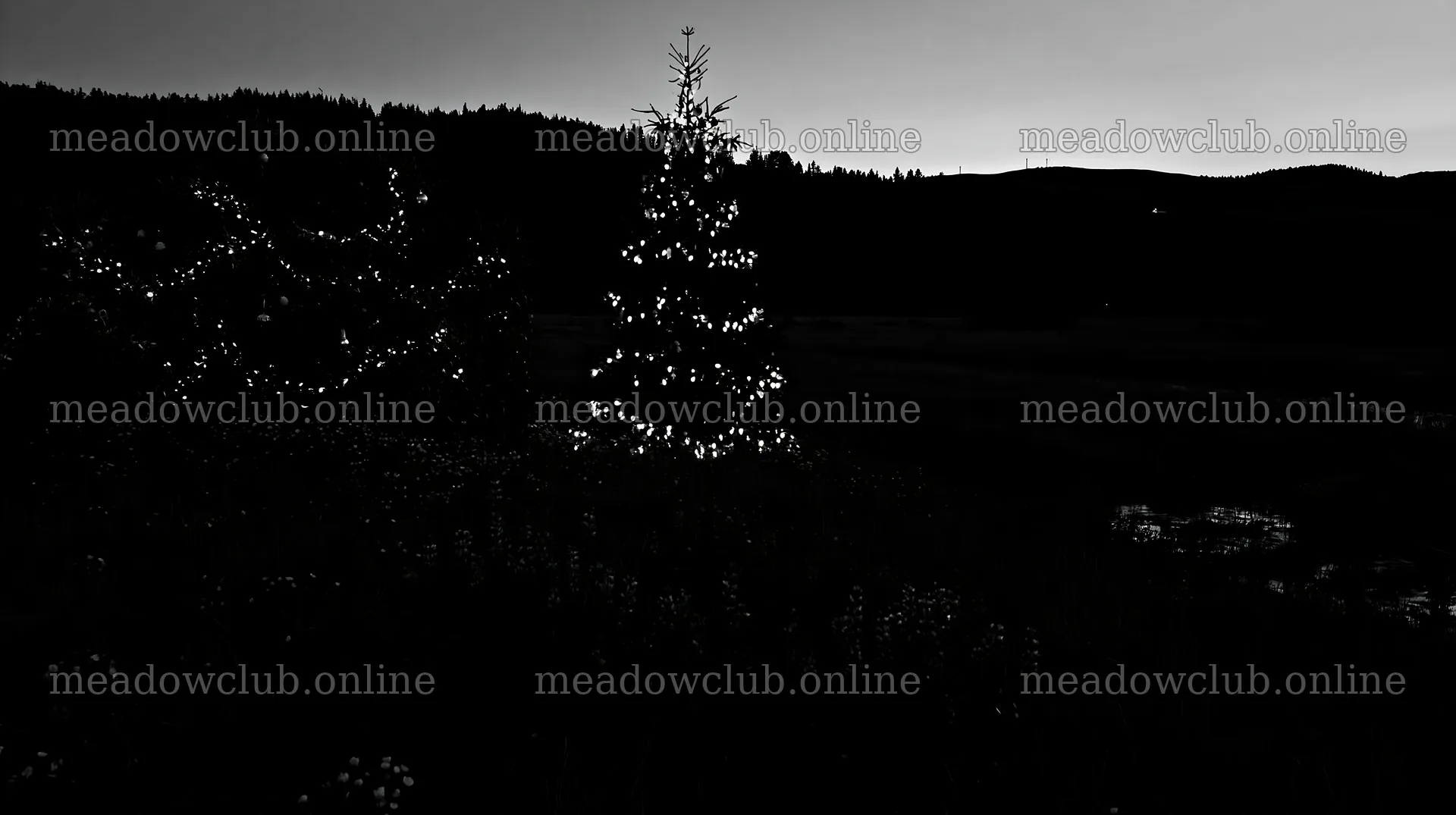 Christmas tree at dusk beside stream in meadow – meadow photos 10608x5938