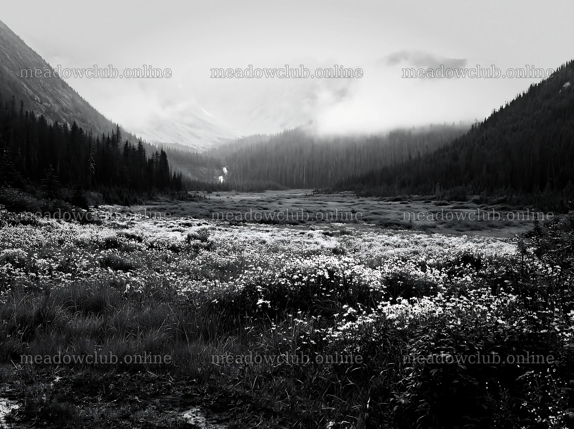 Misty mountain waterfall meadow in a monochrome scene – meadow photos 9174x6866