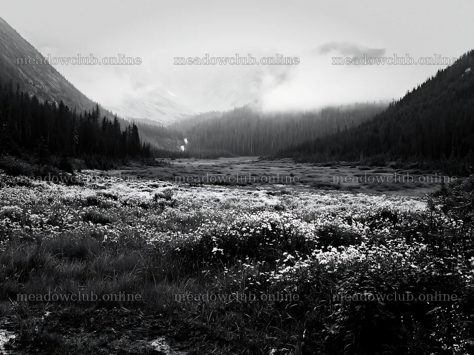 Misty mountain waterfall meadow in a monochrome scene – meadow photos 9174x6866