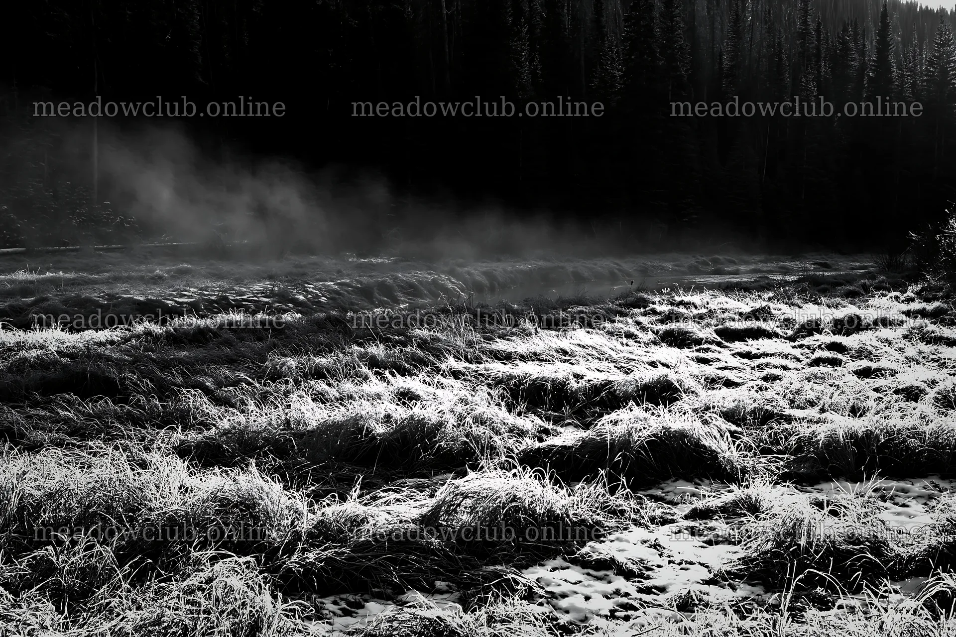 Snowy Rocky Mountain Park meadow with dry grass and mist – meadow photos 9722x6480