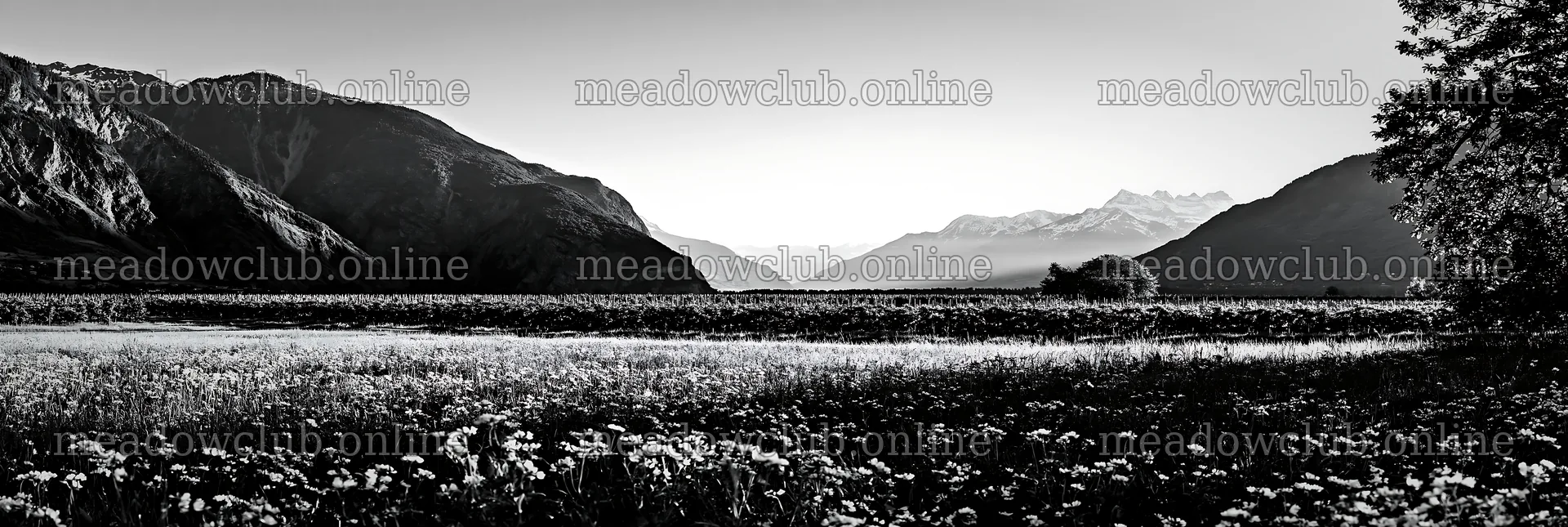 Valley apple meadow with mountains in the background – meadow photos 13690x4602