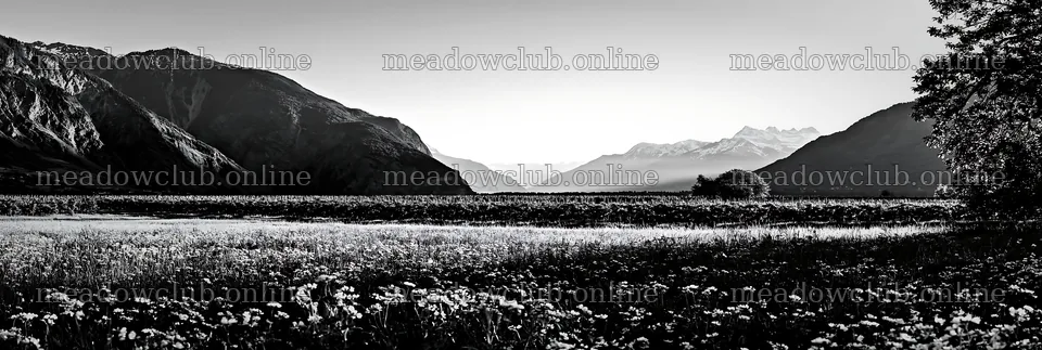 Valley apple meadow with mountains in the background – meadow photos 13690x4602