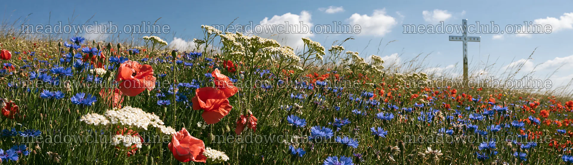 Cross in a meadow with wildflowers under a blue sky – meadow photos 14762x4268