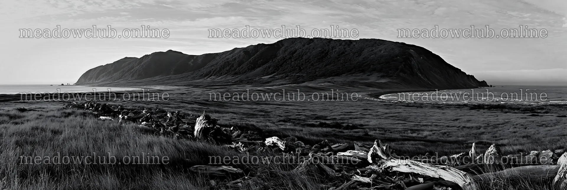 Chiba coastal climate meadow with driftwood in the foreground – meadow photos 13690x4602