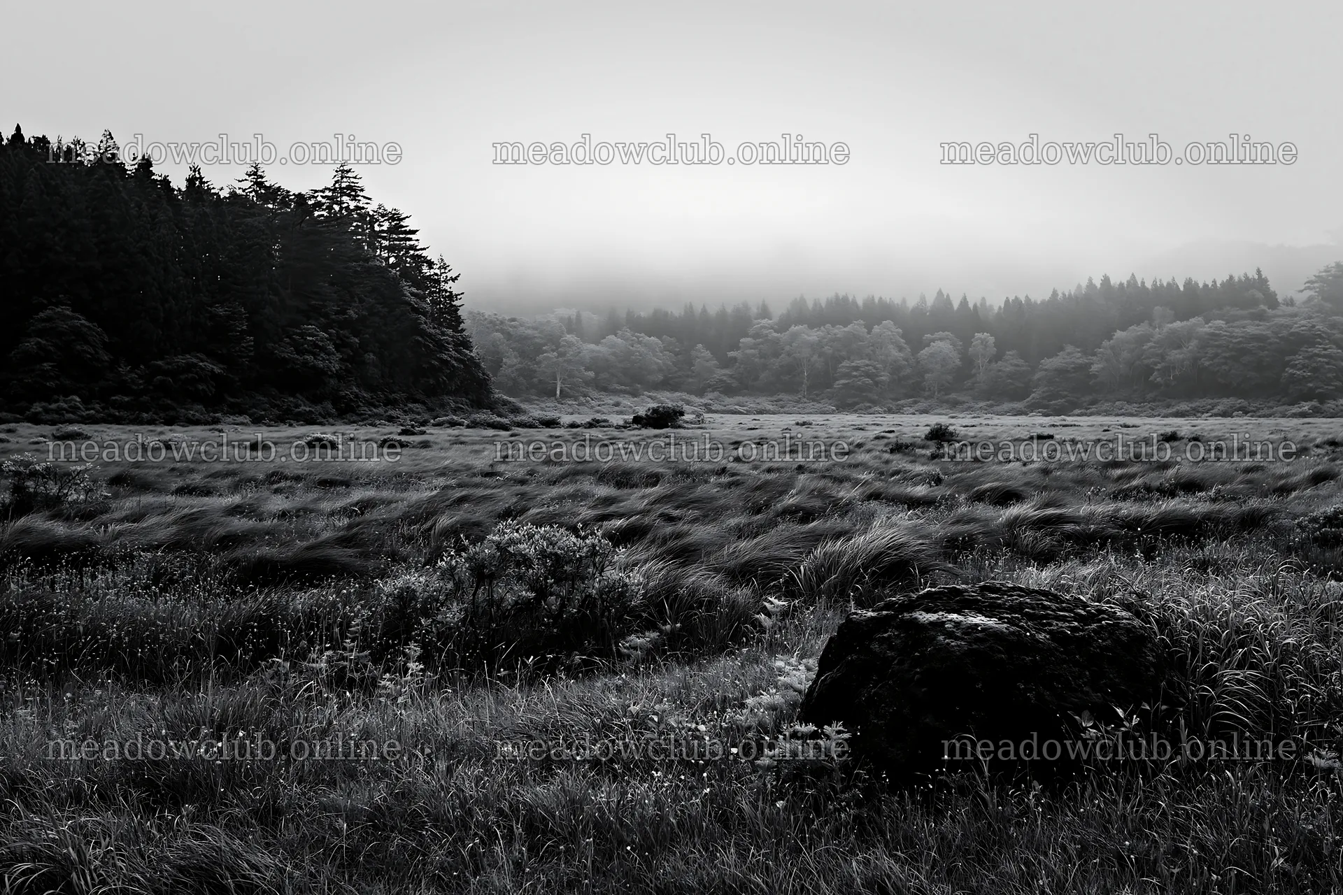 Miyagi spring recovery meadow mossy stone in misty landscape – meadow photos 9722x6480