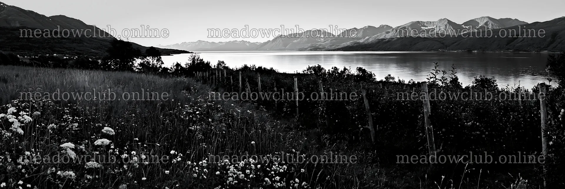 Fjord orchard meadow with mountains and water in view – meadow photos 13690x4602