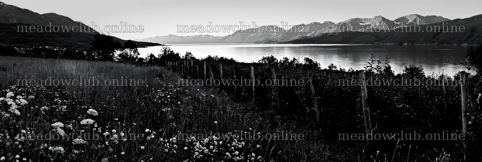 Fjord orchard meadow with mountains and water in view – meadow photos 13690x4602