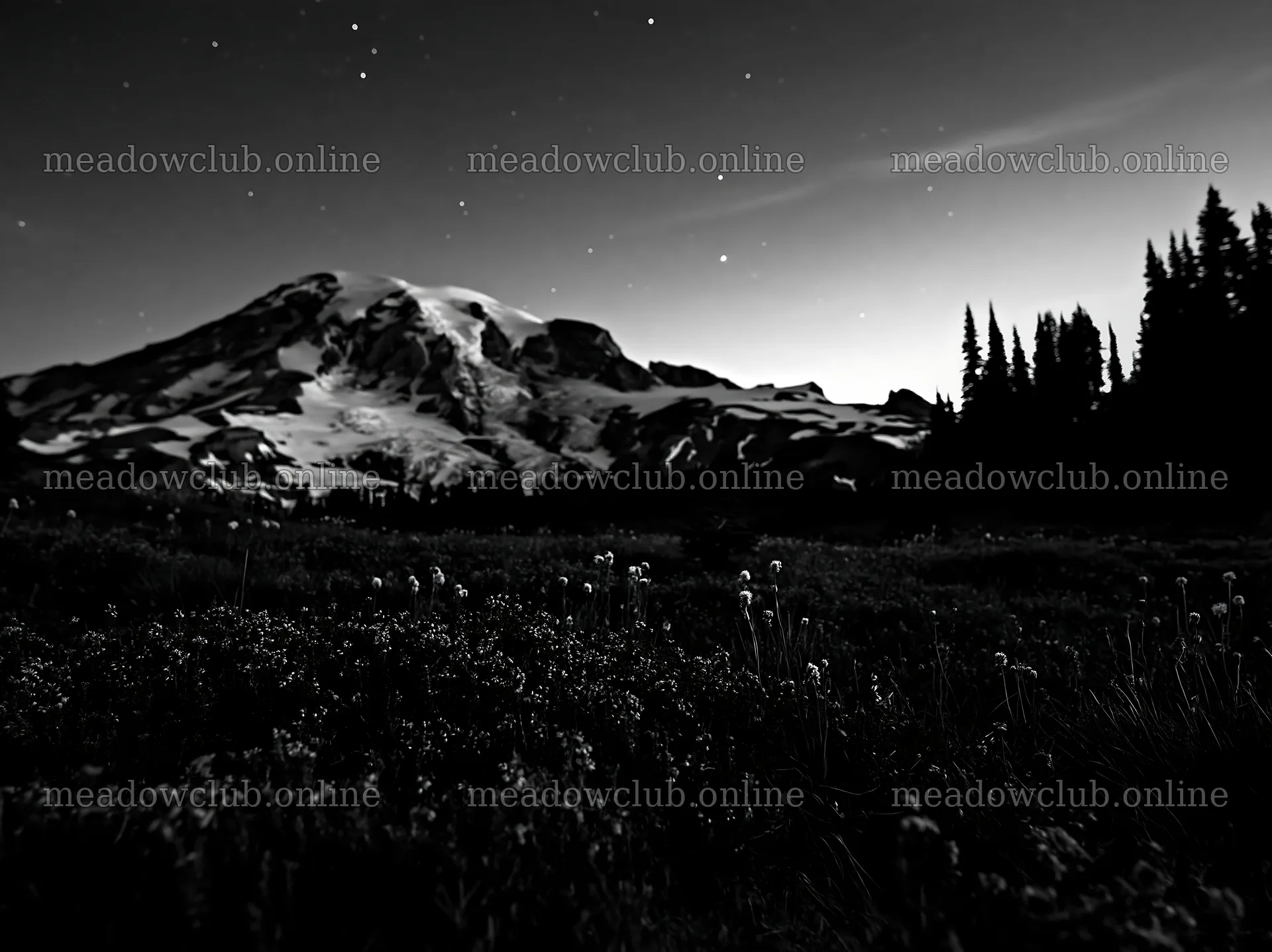Mount Rainier wildflower meadow at sunrise – meadow photos 9174x6866