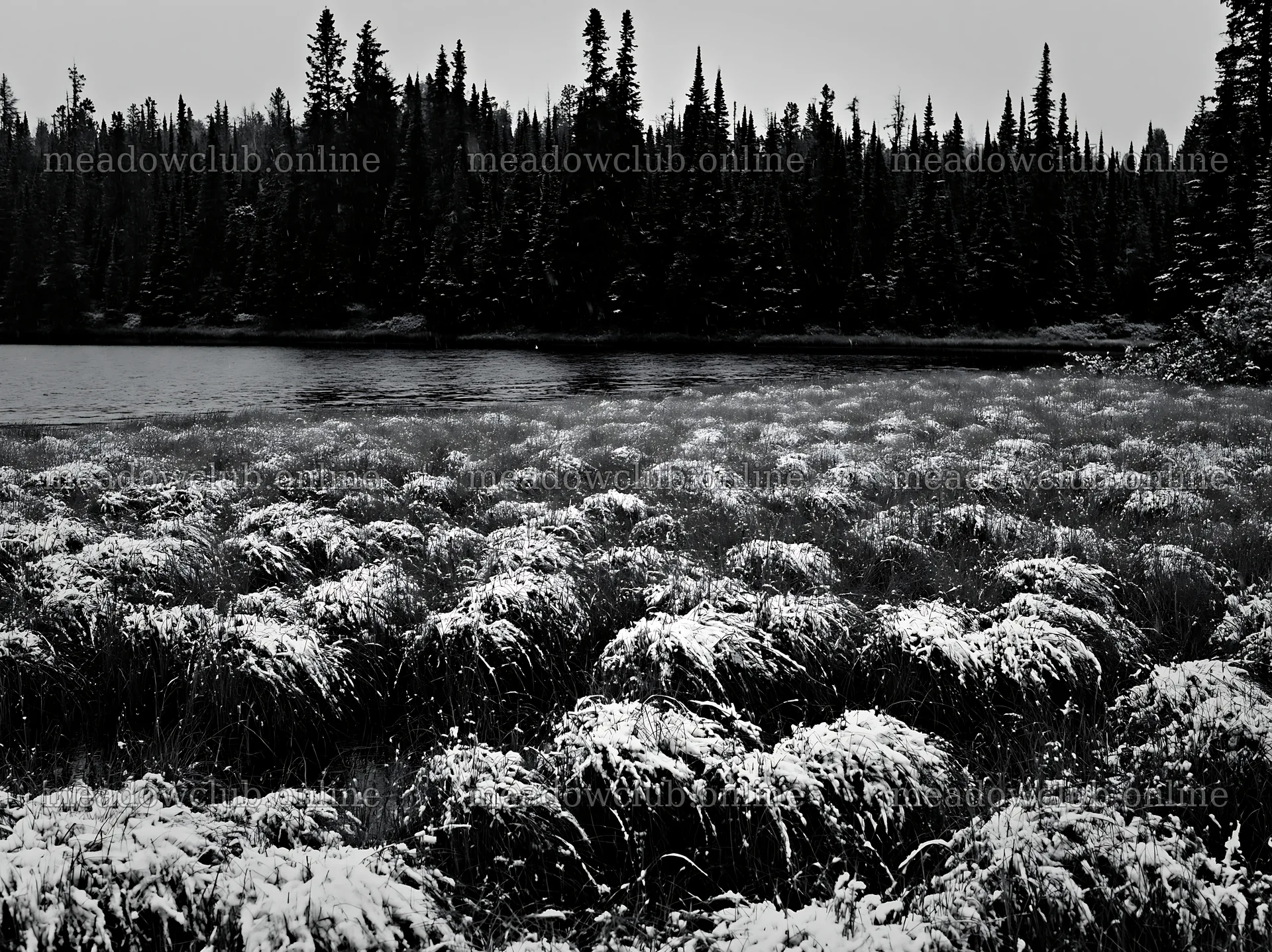 Lakeside meadow after first snowfall with snow-covered grass – meadow photos 9174x6866
