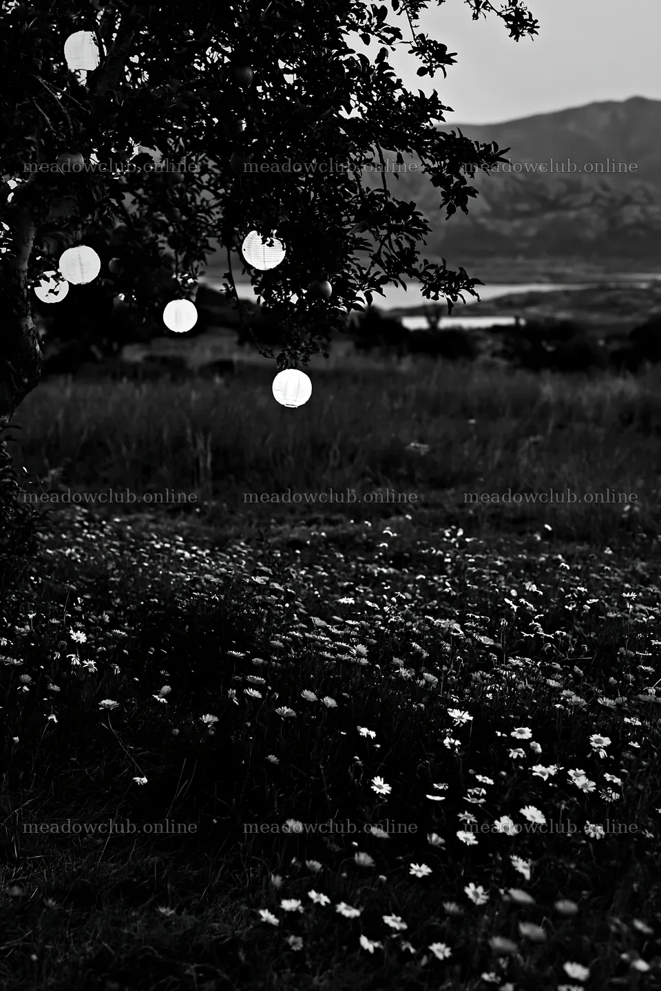 Apple tree meadow with lanterns and flowers in Lofoten – meadow photos 6480x9722